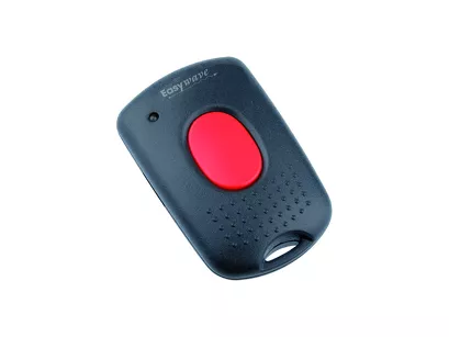 RT21 ► mikro pilot radiowy Easywave