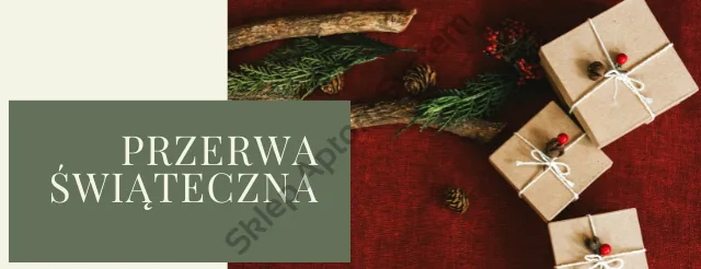 Przerwa świąteczna
