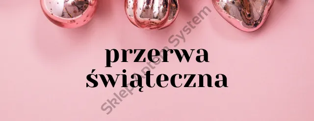 Przerwa świąteczna